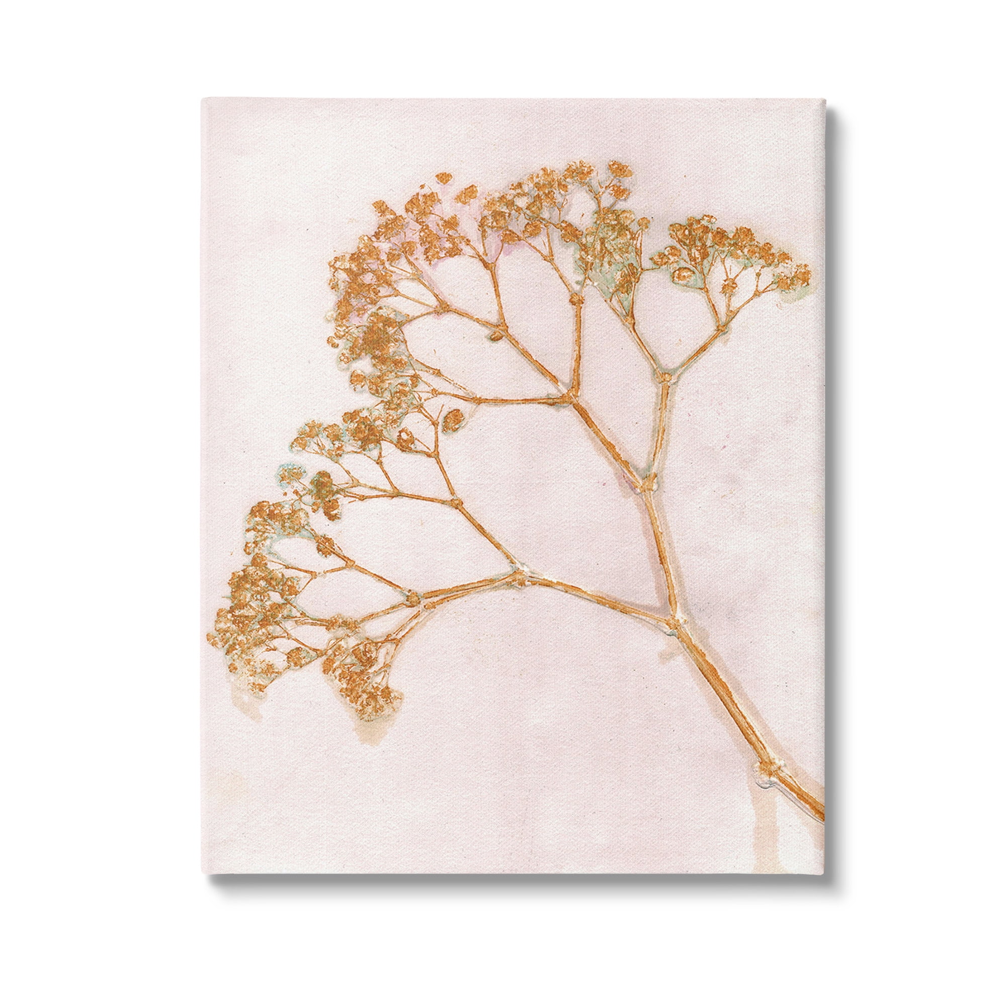 Stupell Industries Cottage Botanical Branches Botanical & Floral Painting Gallery Wrapped Canvas Art Print Wall Art, 16 x 20
