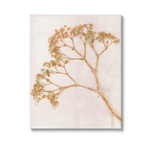 Stupell Industries Cottage Botanical Branches Botanical & Floral Painting Gallery Wrapped Canvas Art Print Wall Art, 16 x 20