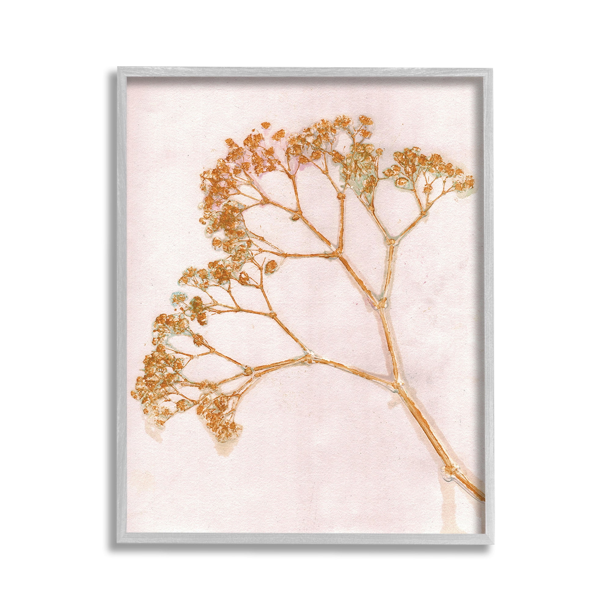 Stupell Industries Cottage Botanical Branches Botanical & Floral Painting Gray Framed Art Print Wall Art, 11 x 14