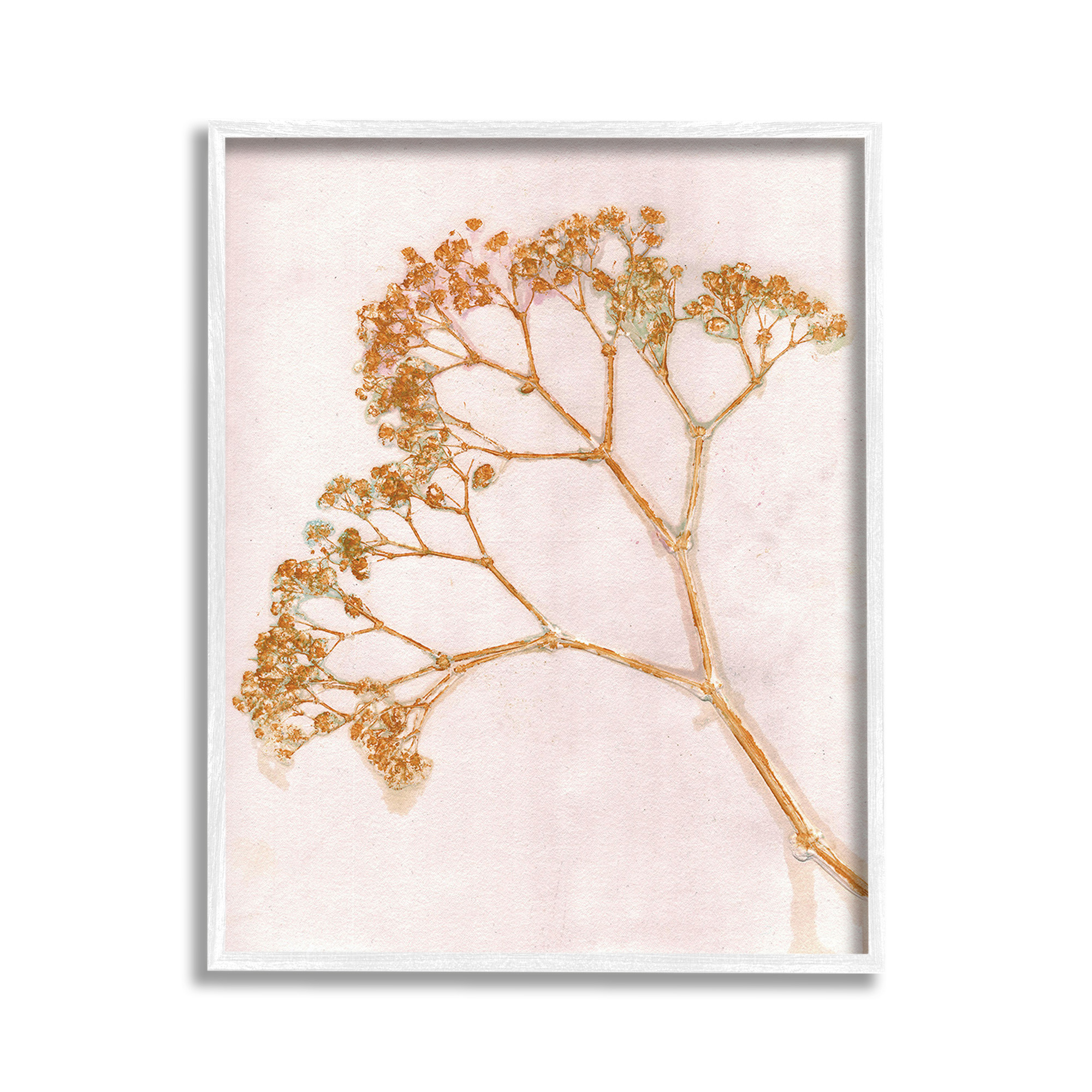 Stupell Industries Cottage Botanical Branches Botanical & Floral Painting White Framed Art Print Wall Art, 11 x 14