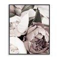 thumbnail image 1 of Stupell Industries Cottage Budding Peony Petals Close Up Black Framed Giclee Art, 11 x 14, by Malerifabrikken, 1 of 7
