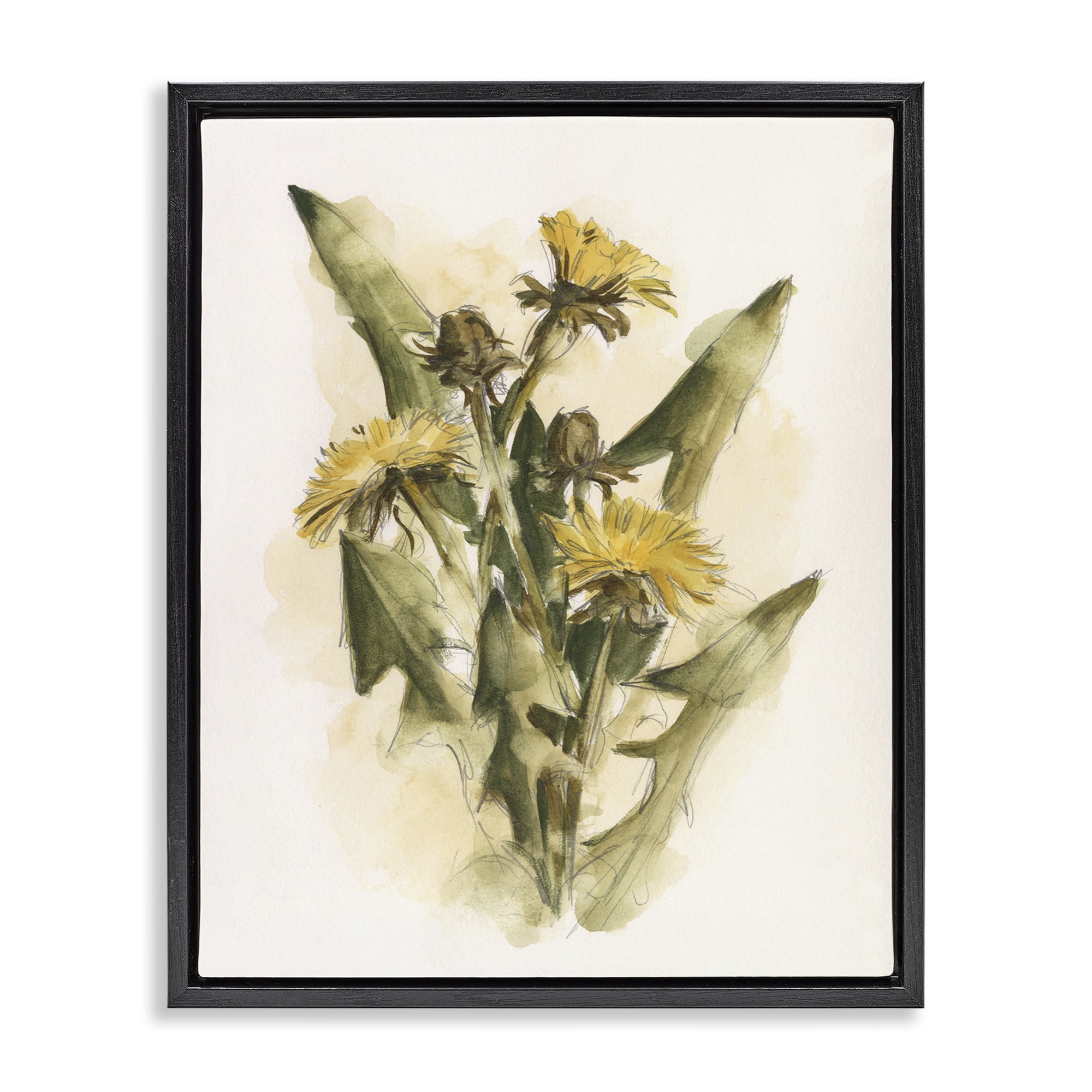 Stupell Industries Cottage Buttercup Flowers Botanical & Floral Painting Black Floater Framed Art Print Wall Art, 25 x 31