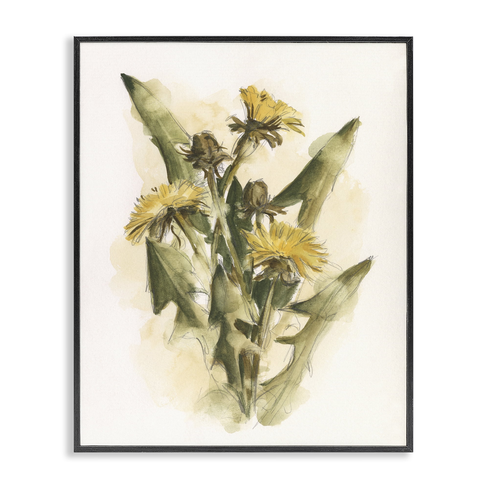 Stupell Industries Cottage Buttercup Flowers Botanical & Floral Painting Black Framed Art Print Wall Art, 16 x 20