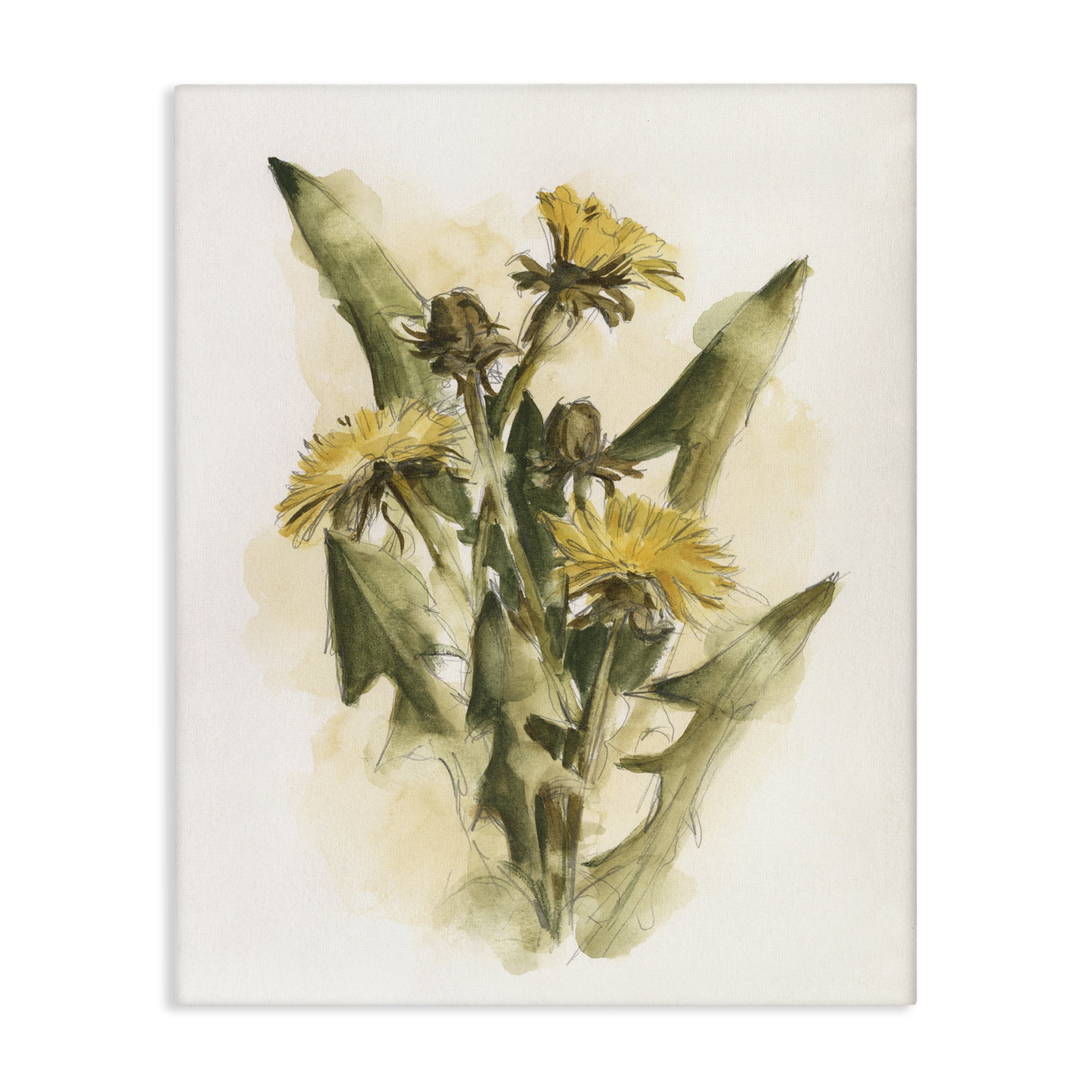 Stupell Industries Cottage Buttercup Flowers Botanical & Floral Painting Gallery Wrapped Canvas Art Print Wall Art, 36 x 48