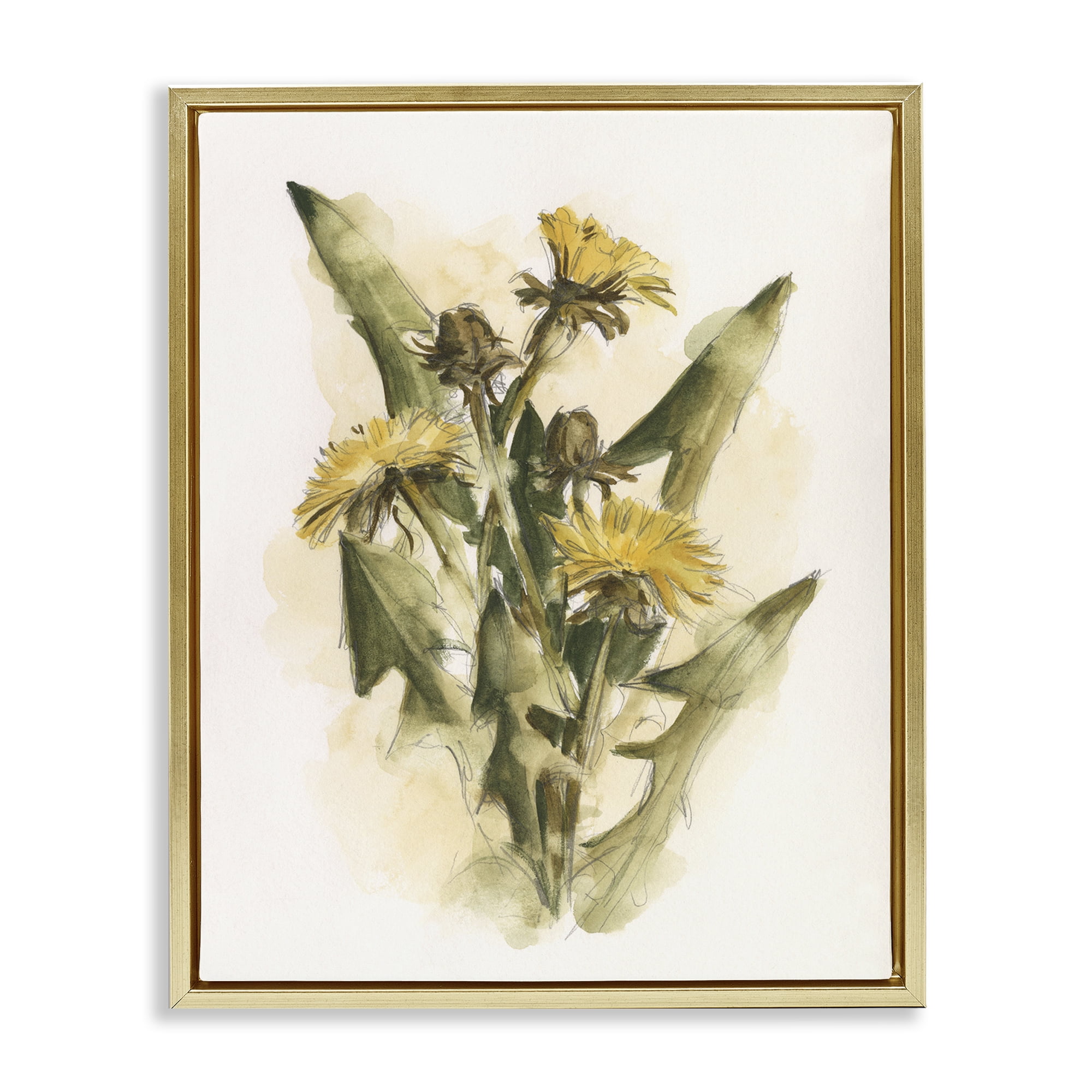 Stupell Industries Cottage Buttercup Flowers Botanical & Floral Painting Gold Floater Framed Art Print Wall Art, 25 x 31