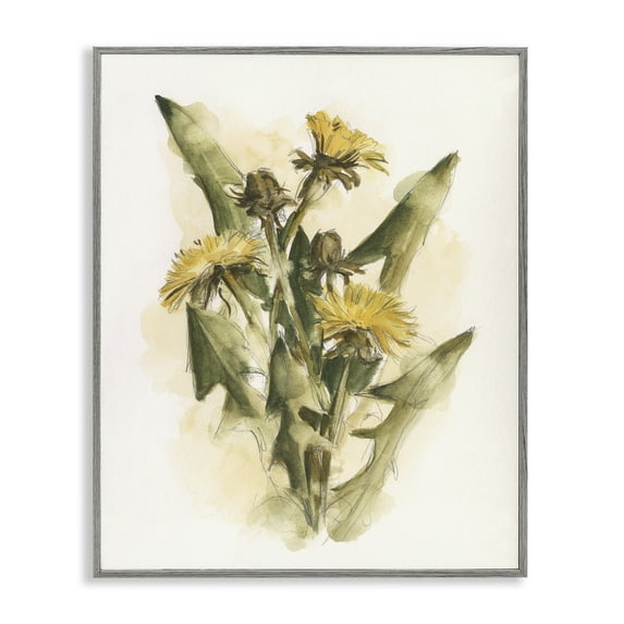 Stupell Industries Cottage Buttercup Flowers Botanical & Floral Painting Gray Framed Art Print Wall Art, 11 x 14