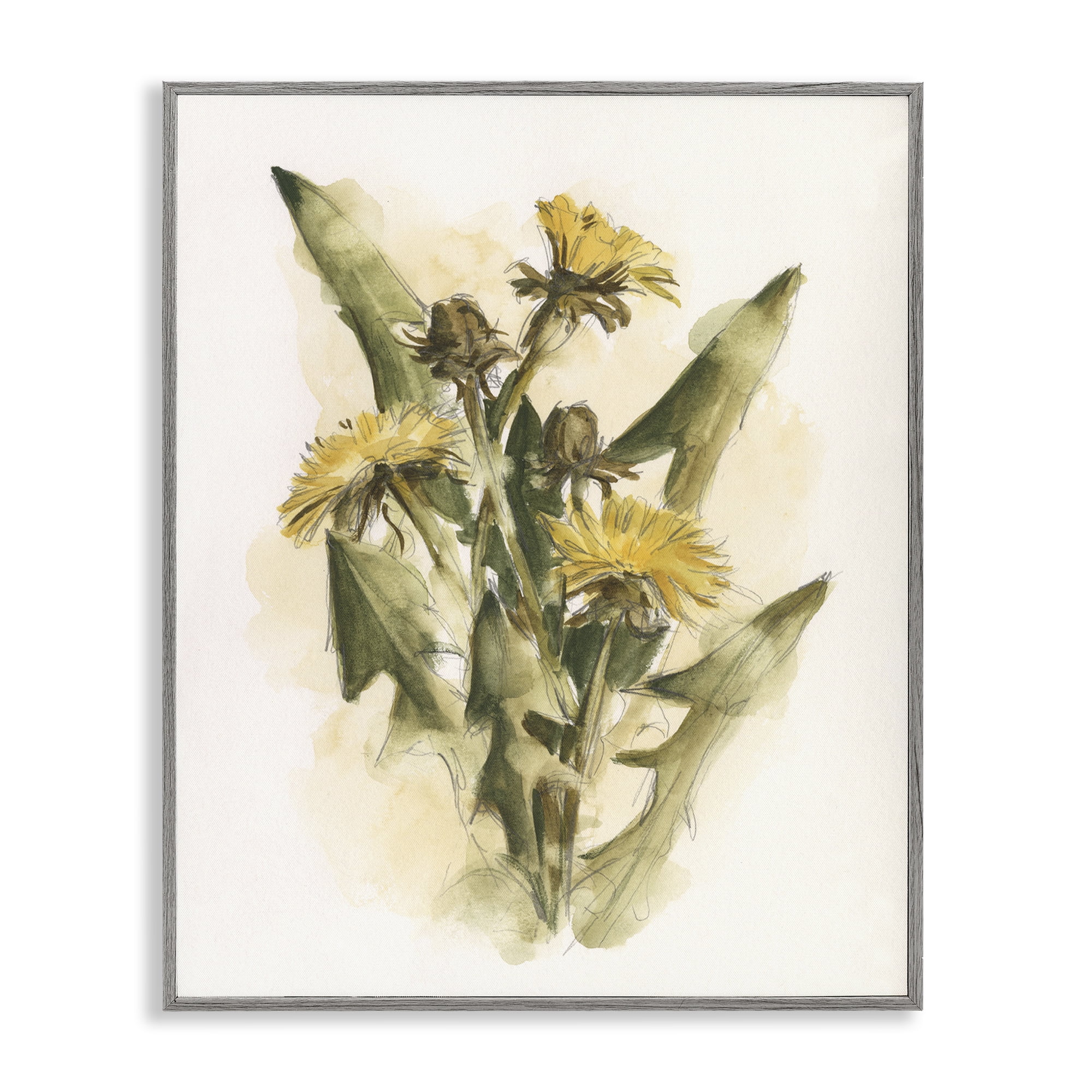 Stupell Industries Cottage Buttercup Flowers Botanical & Floral Painting Gray Framed Art Print Wall Art, 24 x 30