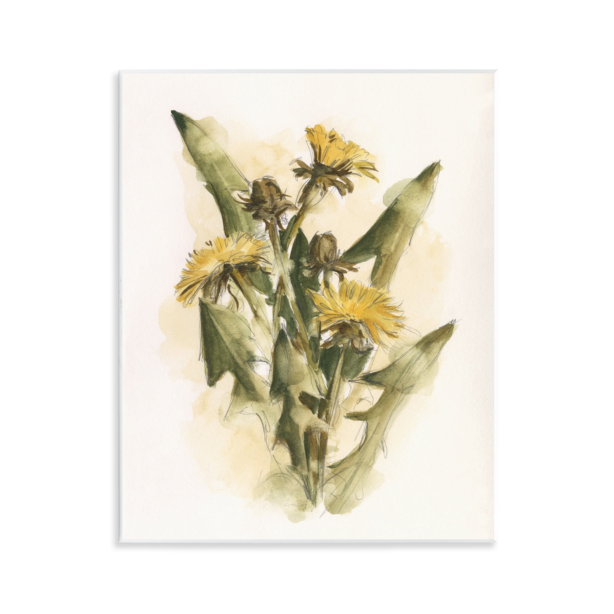 Stupell Industries Cottage Buttercup Flowers Botanical & Floral Painting Unframed Art Print Wall Art, 11 x 14