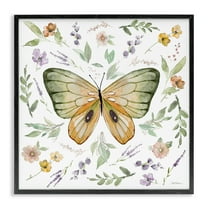 Stupell Industries Cottage Butterfly Botanicals Animals Painting Black Framed Art Print Wall Art, 12 x 12