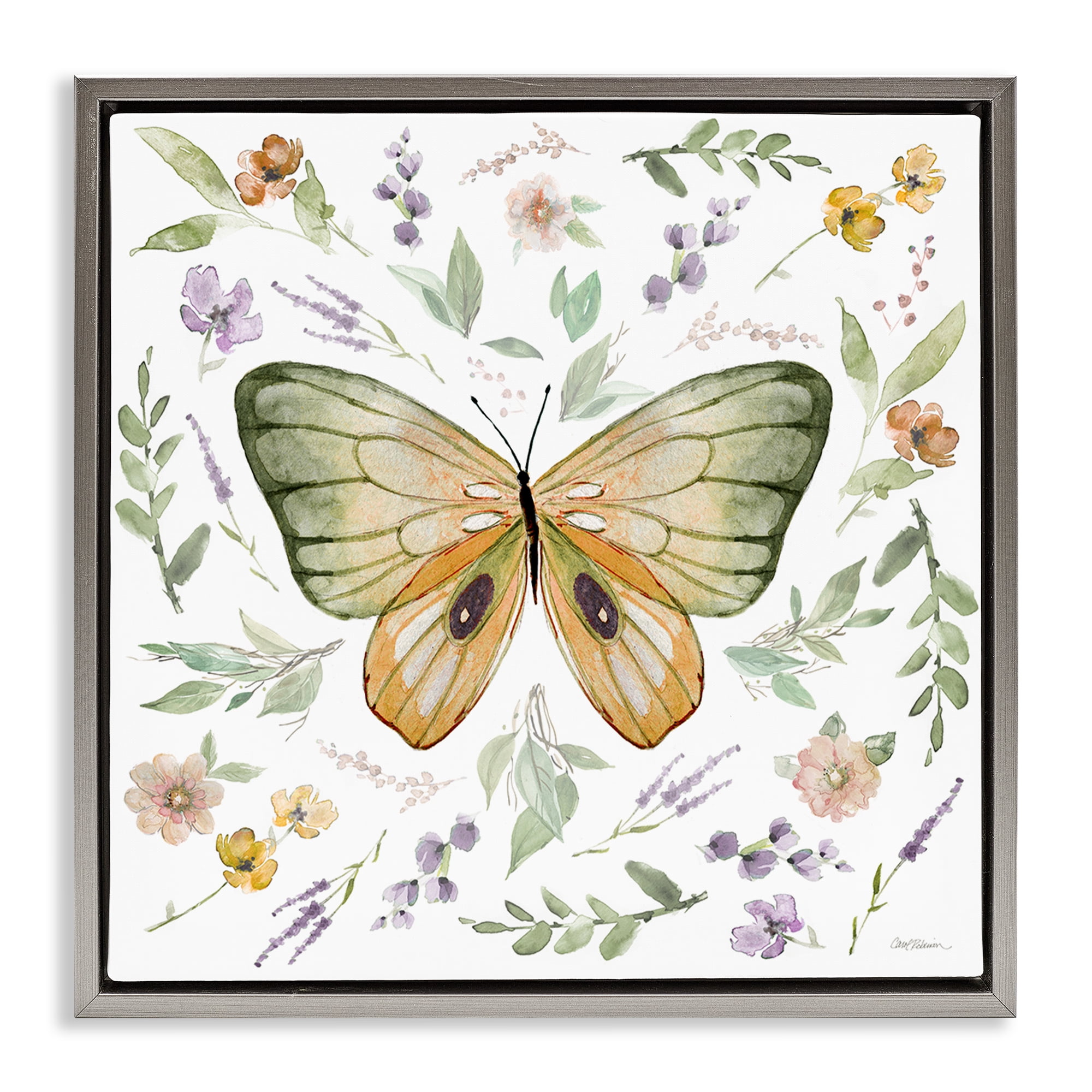 Stupell Industries Cottage Butterfly Botanicals Animals Painting Gray Floater Framed Canvas Art Print Wall Art, 25 x 25