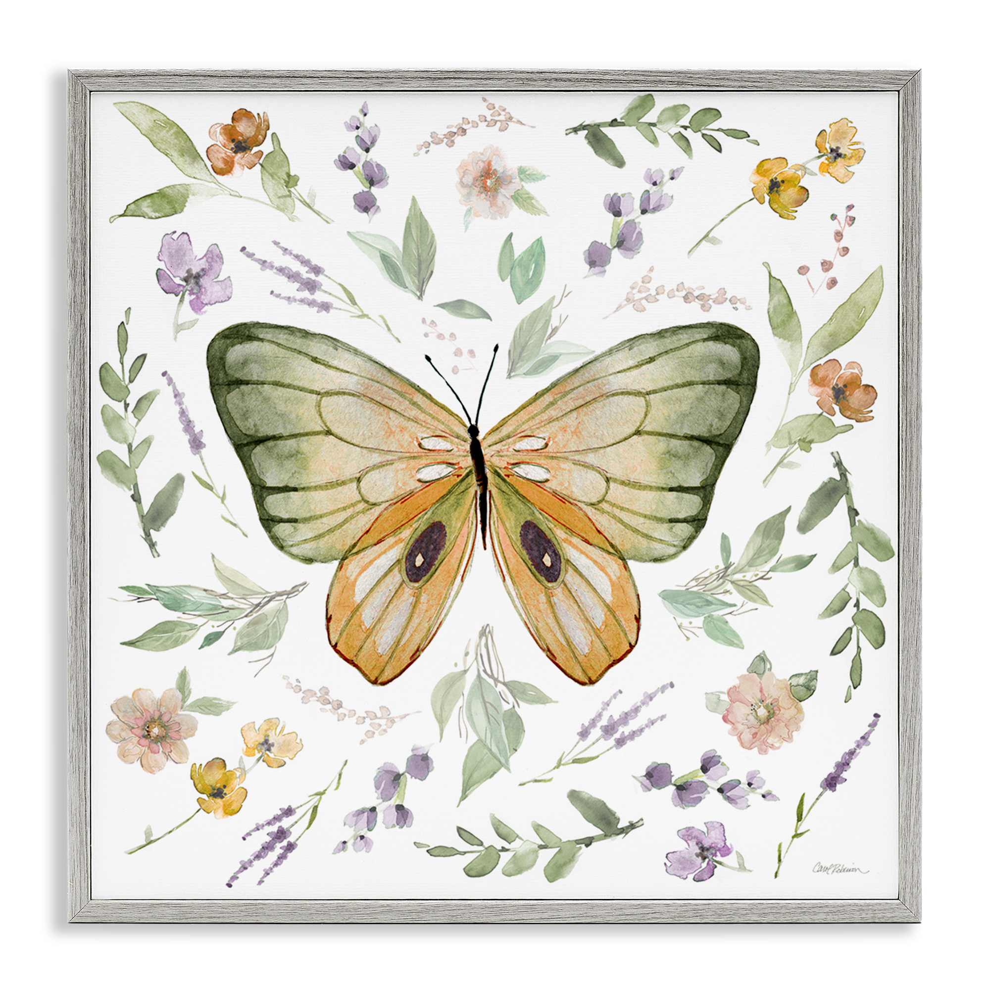 Stupell Industries Cottage Butterfly Botanicals Animals Painting Gray Framed Art Print Wall Art, 12 x 12