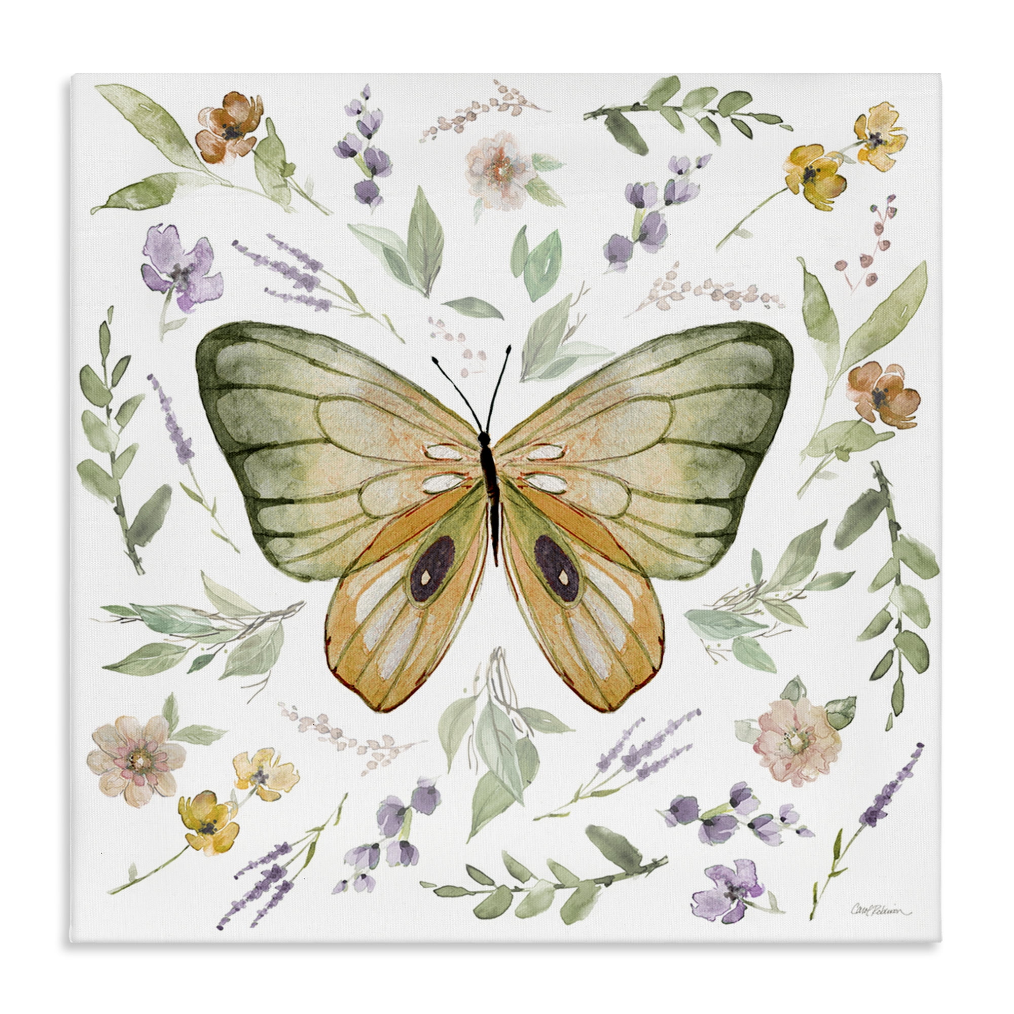 Stupell Industries Cottage Butterfly Botanicals Animals Painting Wrapped Canvas Art Print Wall Art, 36 x 36
