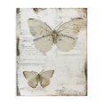 thumbnail image 1 of Stupell Industries Cottage Butterfly Journal Collage Canvas Art, 36 x 48, by Riley B, 1 of 8