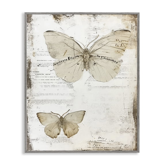 Stupell Industries Cottage Butterfly Journal Collage Gray Framed Giclee Art, 11 x 14, by Riley B