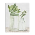 thumbnail image 1 of Stupell Industries Cottage Country Plant Leaves Rustic Glass Jars Arrangement Canvas Art, 36 x 48, by Kim Allen, 1 of 6