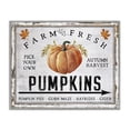 thumbnail image 1 of Stupell Industries Cottage Farm Fresh Pumpkin Gray Framed Giclee Art, 14 x 11, by Creatif Belle, 1 of 8