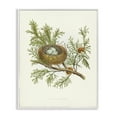 thumbnail image 1 of Stupell Industries Cottage Forest Bird Nest on Branch White Framed Giclee Art, 16 x 20, by Tina Higgins Designs Inc., 1 of 8