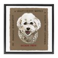 thumbnail image 1 of Stupell Industries Cottage Fun Bichon Frise Phrases Black Floating Frame Canvas Art, 18 x 18, by Nancy Overton, 1 of 8