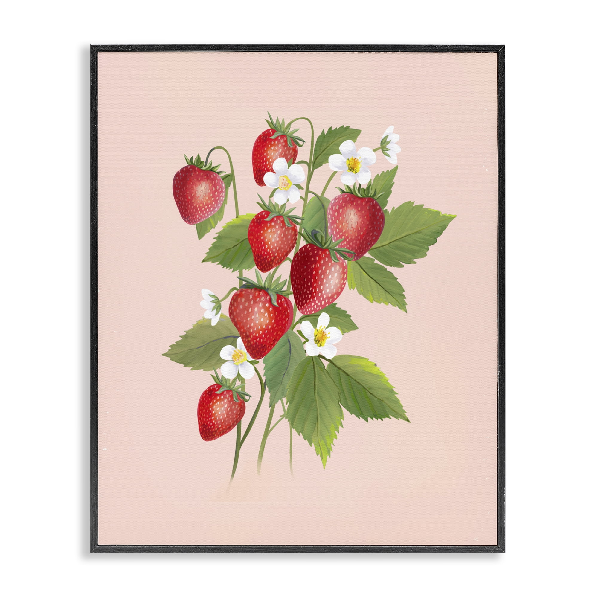 Stupell Industries Cottage Garden Strawberries Black Framed Giclee Art, design by Diane Neukirch