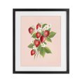 thumbnail image 1 of Stupell Industries French Country Cottage Garden Strawberries Black Framed Print Under Glass, 13 x 16, by Diane Neukirch, 1 of 8