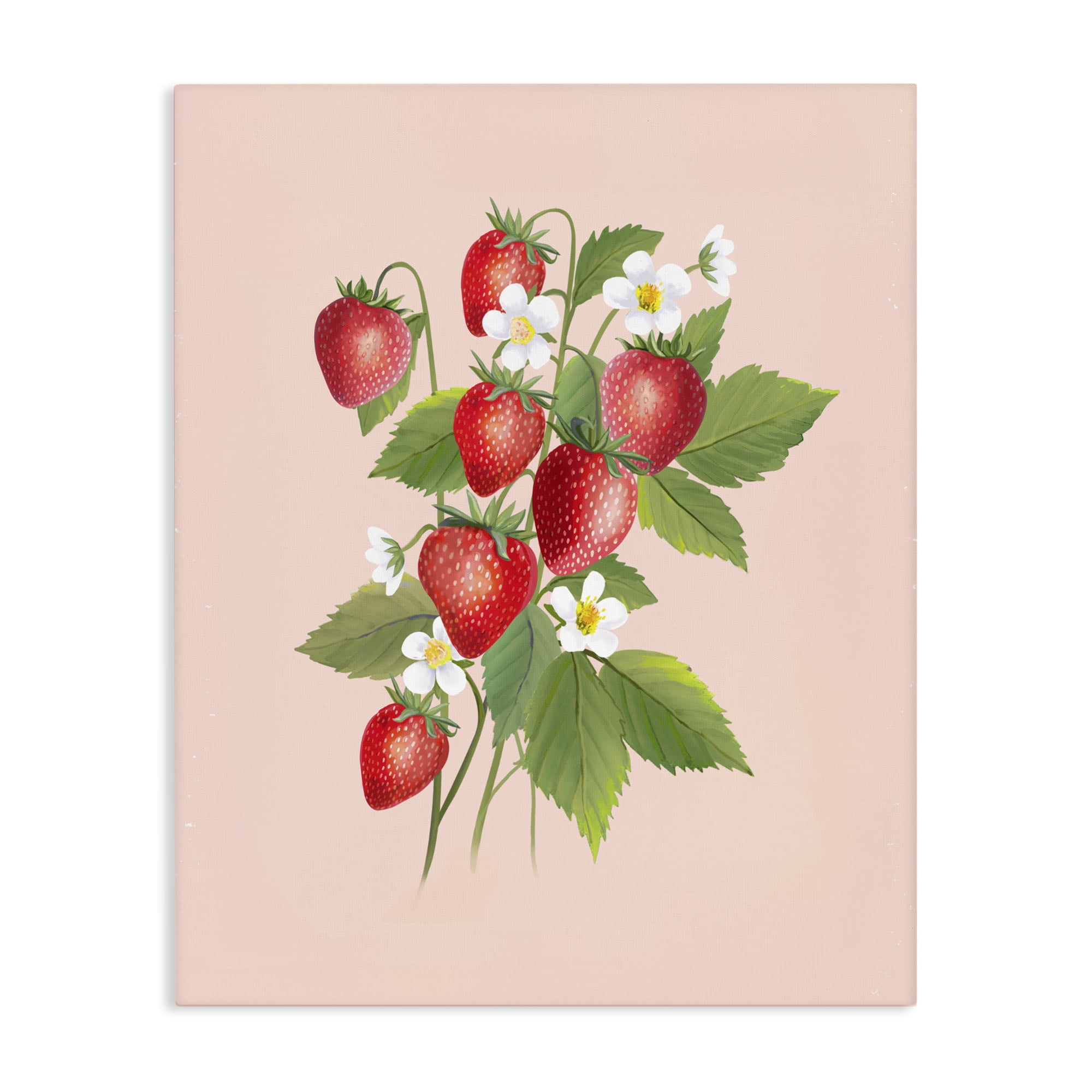 Stupell Industries Cottage Garden Strawberries Canvas Wall Art, design by Diane Neukirch
