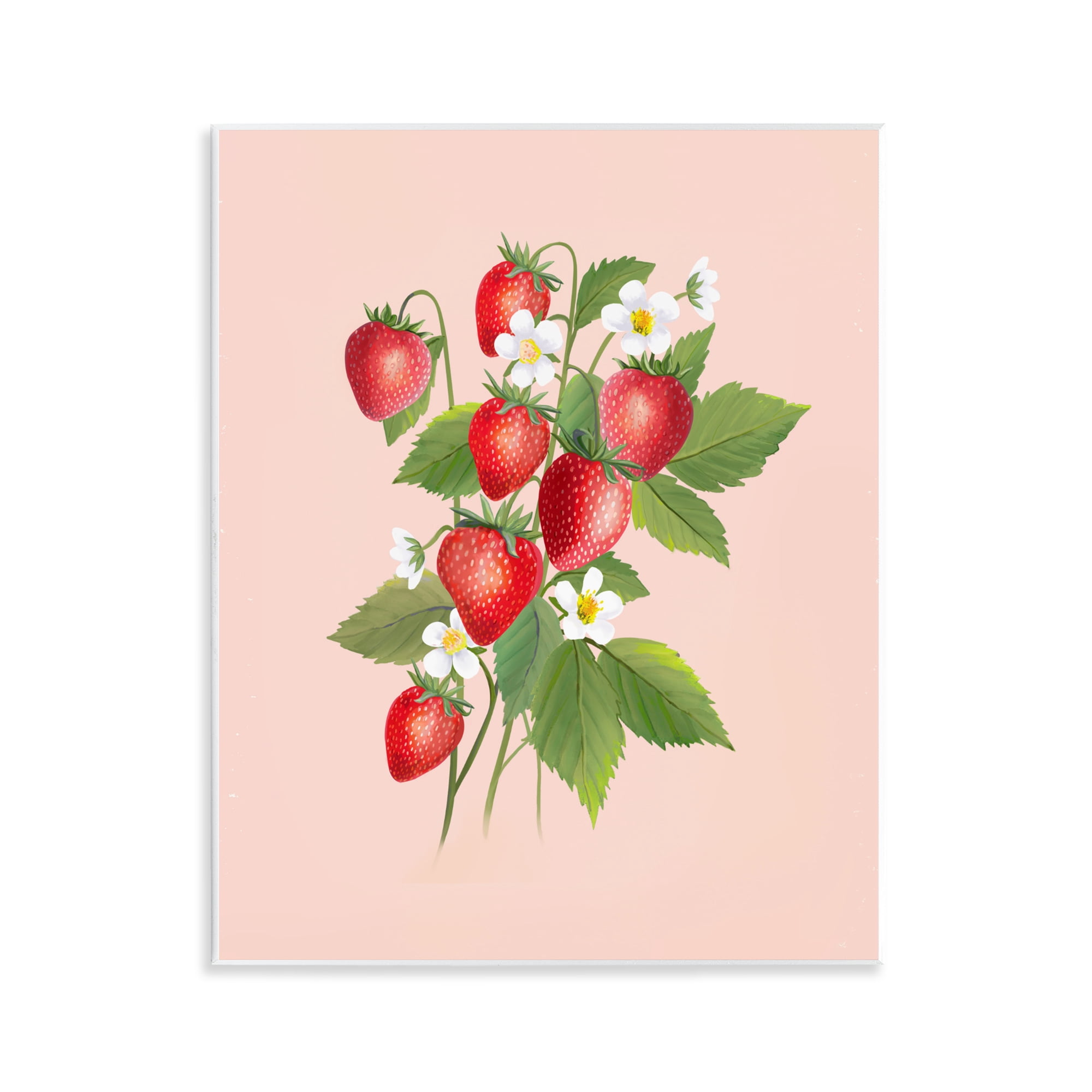 Stupell Industries Cottage Garden Strawberries Wall Plaque Art, design by Diane Neukirch