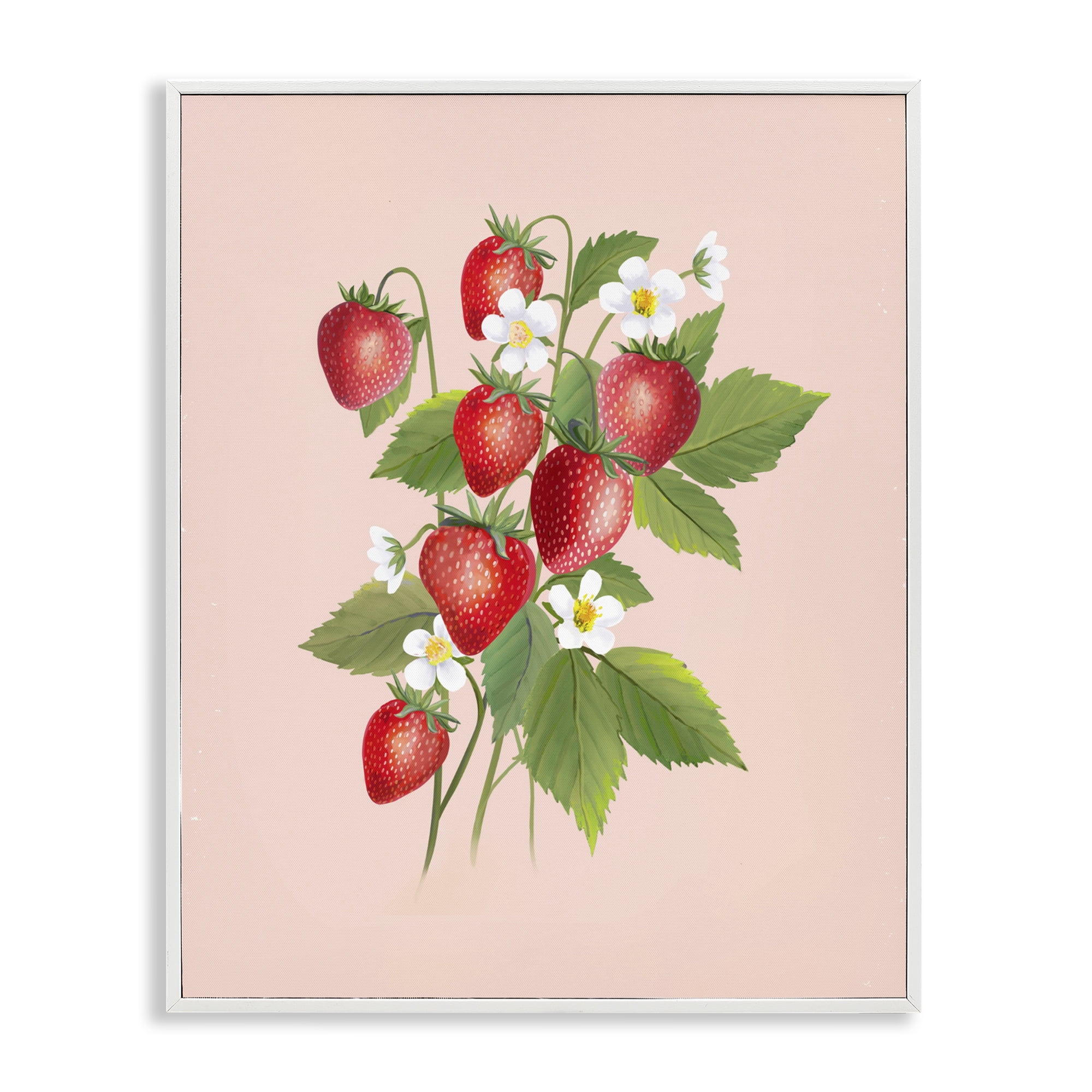 Stupell Industries Cottage Garden Strawberries White Framed Giclee Art, design by Diane Neukirch
