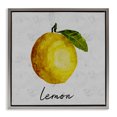 thumbnail image 1 of Stupell Industries Cottage Kitchen Lemon with Leaf Gray Floating Frame Canvas Art, 18 x 18, by Regina Moore, 1 of 8