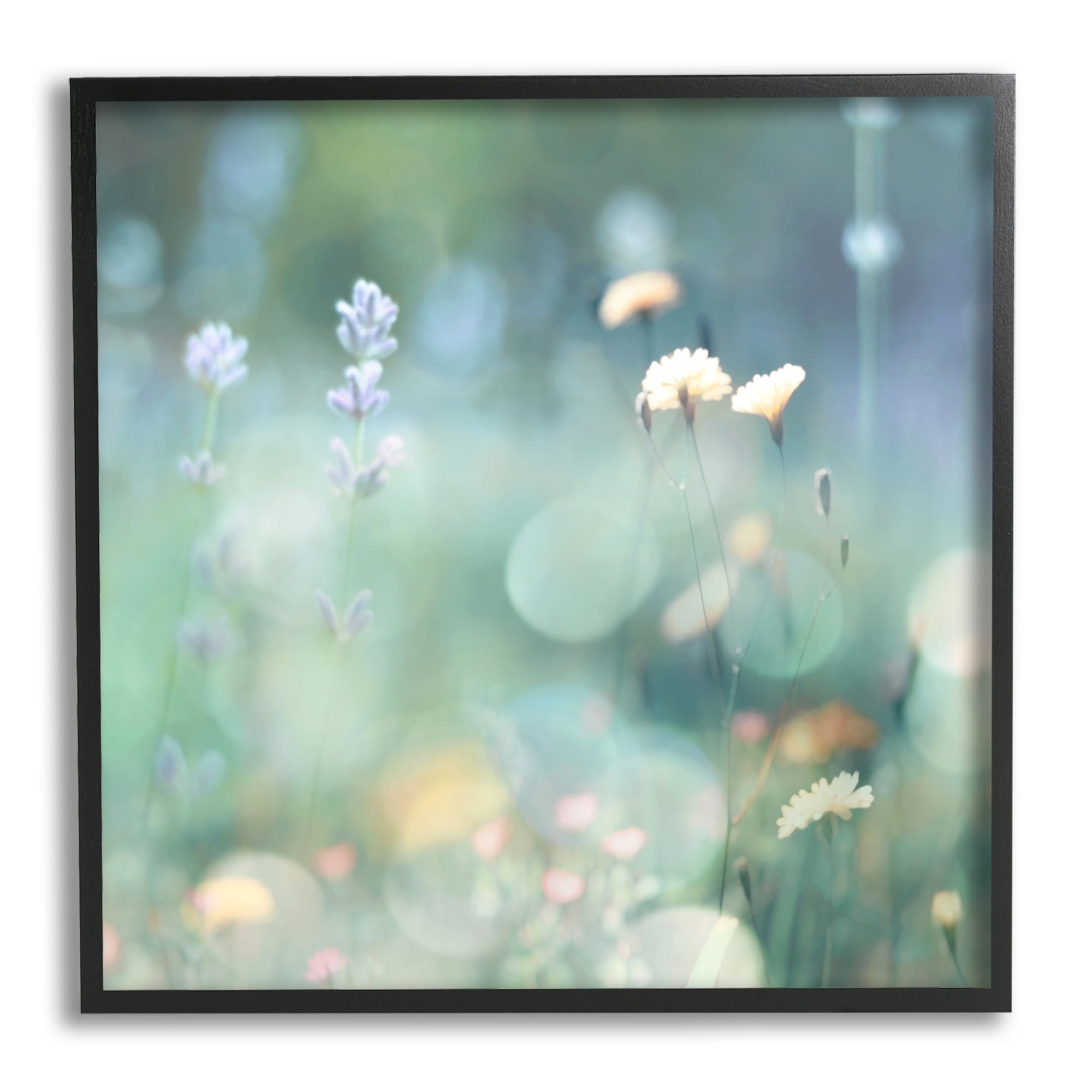 Stupell Industries Cottage Meadow Photography Botanical & Floral Photography Black Framed Art Print Wall Art, 24 x 24