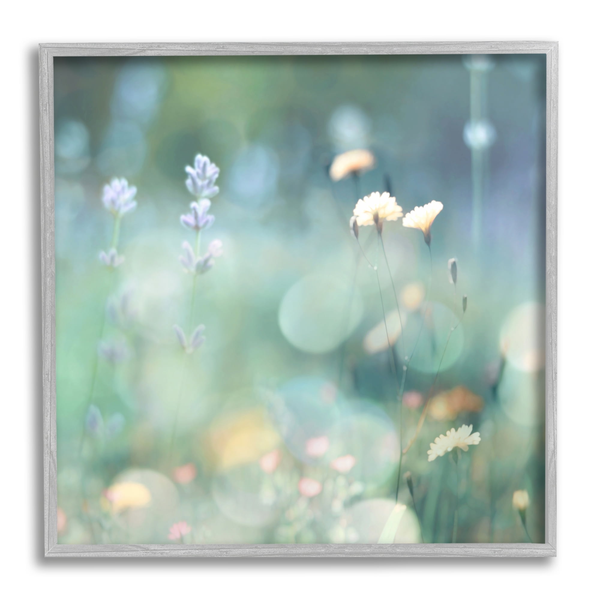 Stupell Industries Cottage Meadow Photography Botanical & Floral Photography Gray Framed Art Print Wall Art, 12 x 12
