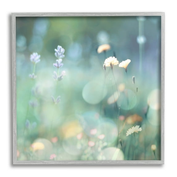 Stupell Industries Cottage Meadow Photography Botanical & Floral Photography Gray Framed Art Print Wall Art, 24 x 24