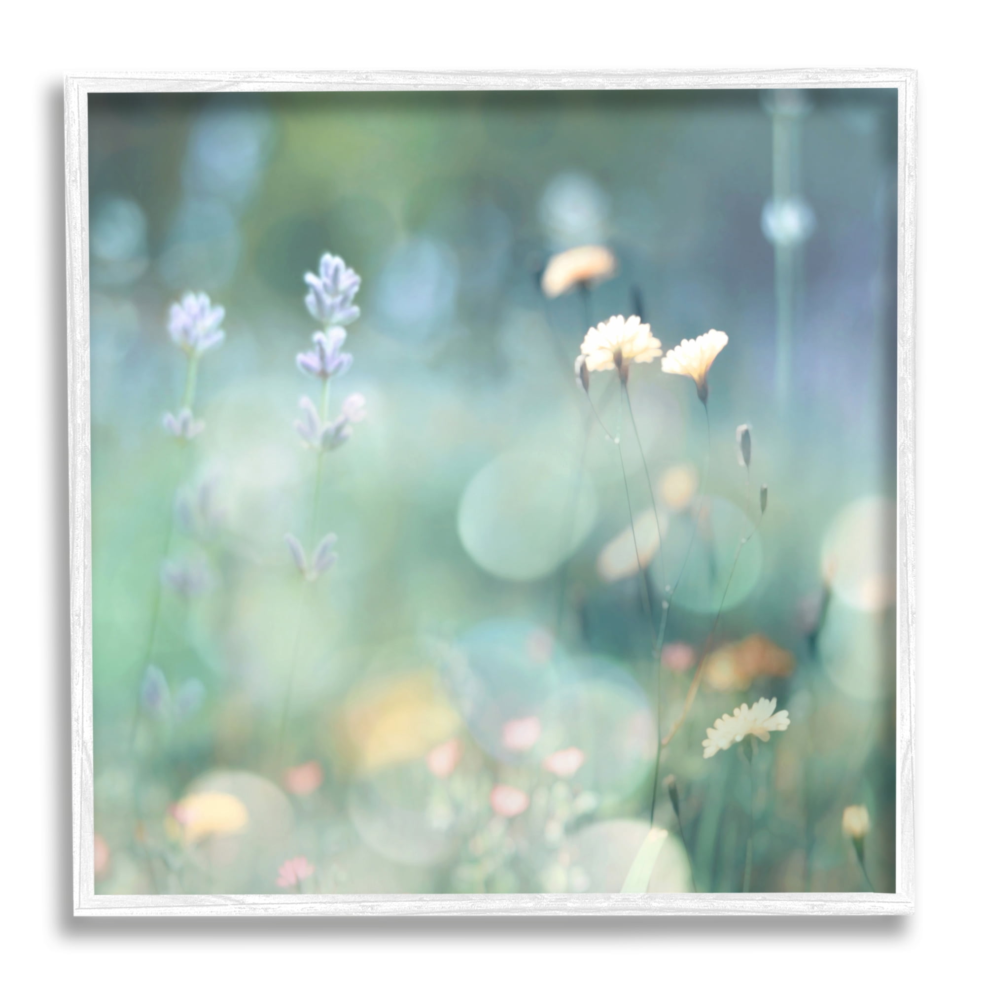 Stupell Industries Cottage Meadow Photography Botanical & Floral Photography White Framed Art Print Wall Art, 12 x 12