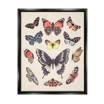 Stupell Industries Cottage Moths & Butterflies Animals & Insects Painting Black Floater Framed Art Print Wall Art, 17 x 21