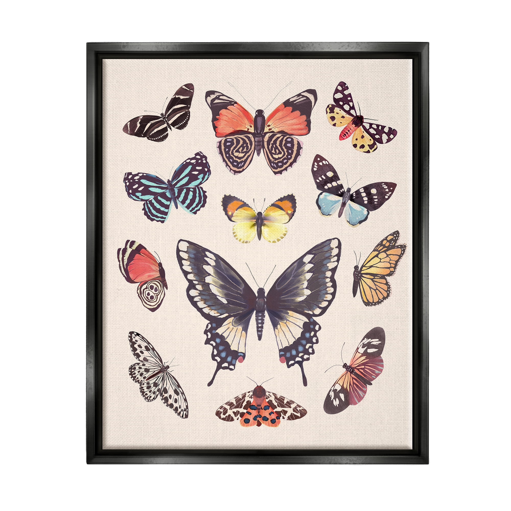 Stupell Industries Cottage Moths & Butterflies Animals & Insects Painting Black Floater Framed Art Print Wall Art, 25 x 31