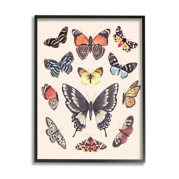 Stupell Industries Cottage Moths & Butterflies Animals & Insects Painting Black Framed Art Print Wall Art, 11 x 14