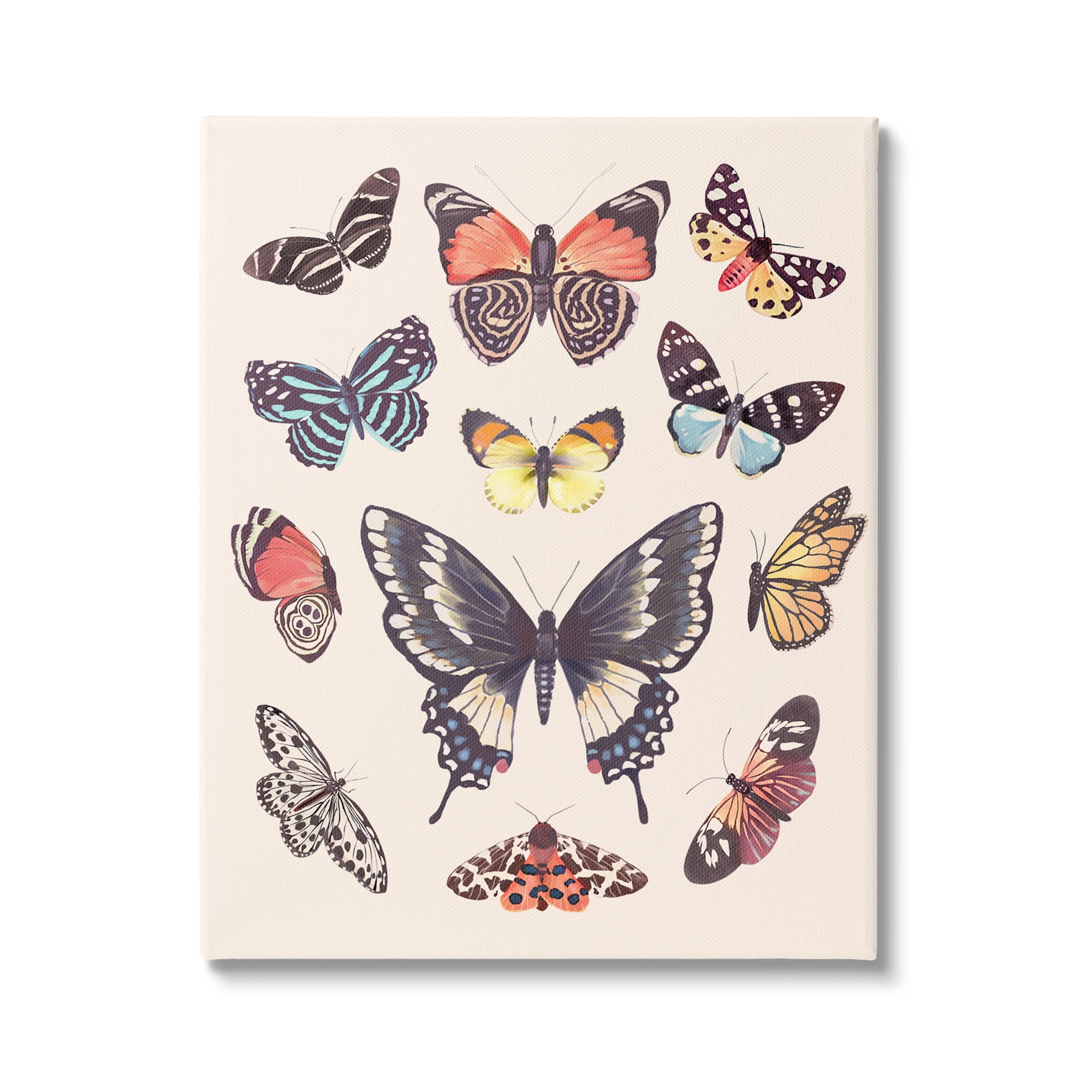 Stupell Industries Cottage Moths & Butterflies Animals & Insects Painting Gallery Wrapped Canvas Print Wall Art, 16 x 20