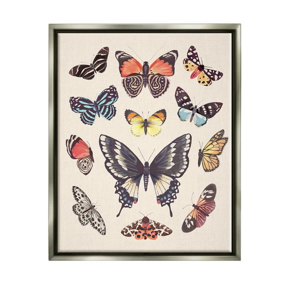 Stupell Industries Cottage Moths & Butterflies Animals & Insects Painting Gray Floater Framed Art Print Wall Art, 25 x 31
