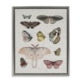 thumbnail image 1 of Stupell Industries Cottage Moths & Butterflies Vintage Gray Floating Frame Canvas Art, 17 x 21, by Lil' Rue, 1 of 8