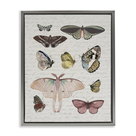 Stupell Industries Cottage Moths & Butterflies Vintage Gray Floating Frame Canvas Art, 17 x 21, by Lil' Rue