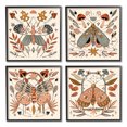 thumbnail image 1 of Stupell Industries Cottage Moths & Mushrooms Animals & Insects Painting Black Framed Art Print Wall Art, 12 x 12, Set of 4, 1 of 10
