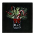 thumbnail image 1 of Stupell Industries Cottage Peace Candy Cane Jar Canvas Art, 24 x 24, by Janet Tava, 1 of 8