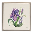 thumbnail image 1 of Stupell Industries Cottage Purple Iris Flower Brown Floating Frame Canvas Art, 25 x 25, by Kristy Rice, 1 of 8