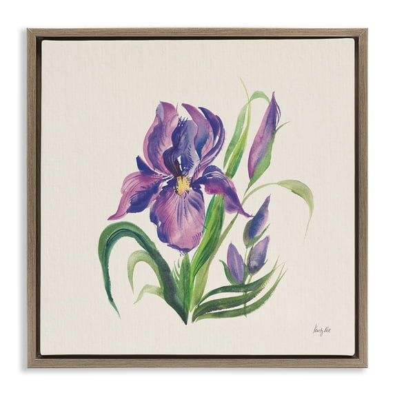 Stupell Industries Cottage Purple Iris Flower Brown Floating Frame Canvas Art, 25 x 25, by Kristy Rice