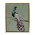 thumbnail image 1 of Stupell Industries Cottage Regal Peacock on Branch Gold Floating Frame Canvas Art, 17 x 21, by Cloverfield & Co., 1 of 8