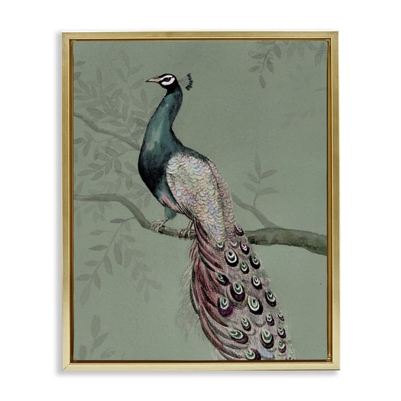Stupell Industries Cottage Regal Peacock on Branch Gold Floating Frame Canvas Art, 17 x 21, by Cloverfield & Co.