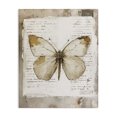 thumbnail image 1 of Stupell Industries Cottage Rustic Butterfly Collage Canvas Art, 36 x 48, by Riley B, 1 of 8