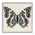 thumbnail image 1 of Stupell Industries Cottage Speckled Butterfly Sketch Gray Framed Giclee Art, 17 x 17, by Susan Arnot, 1 of 8