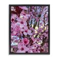 thumbnail image 1 of Stupell Industries Cottage Spring Cherry Blossom Tree Nature Black Floating Frame Canvas Art, 17 x 21, by Heidi Bannon, 1 of 7