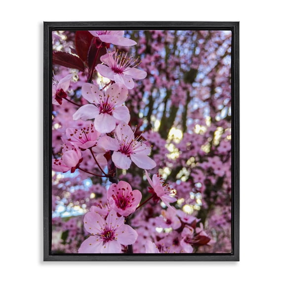 Stupell Industries Cottage Spring Cherry Blossom Tree Nature Black Floating Frame Canvas Art, 17 x 21, by Heidi Bannon