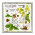 thumbnail image 1 of Stupell Industries Cottage Strawberry & Florals Uses Gray Framed Giclee Art, 17 x 17, by Jane Maday, 1 of 8